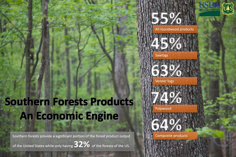 New Interactive Map Tells Story of Forest Products in the South